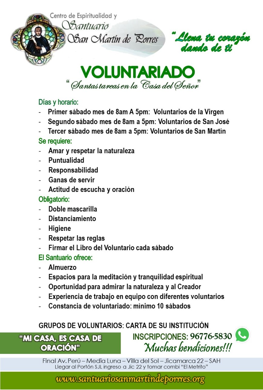 Afiches Large San Martín - Voluntariado 2021 A